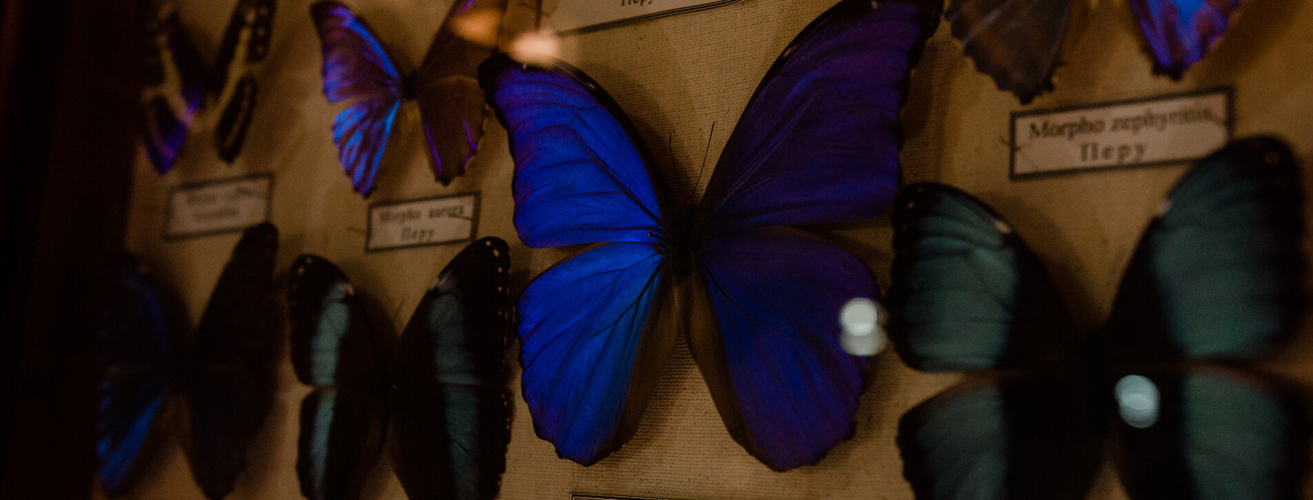 Океанариум для двоих в Одессе - 10 Фото 10 - Океанариум для двоих