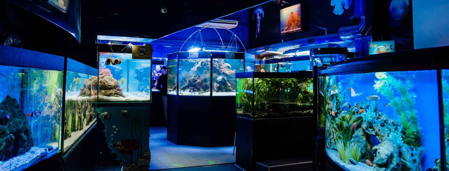 Океанариум для двоих в Одессе - 2 Фото 2 - Океанариум для двоих