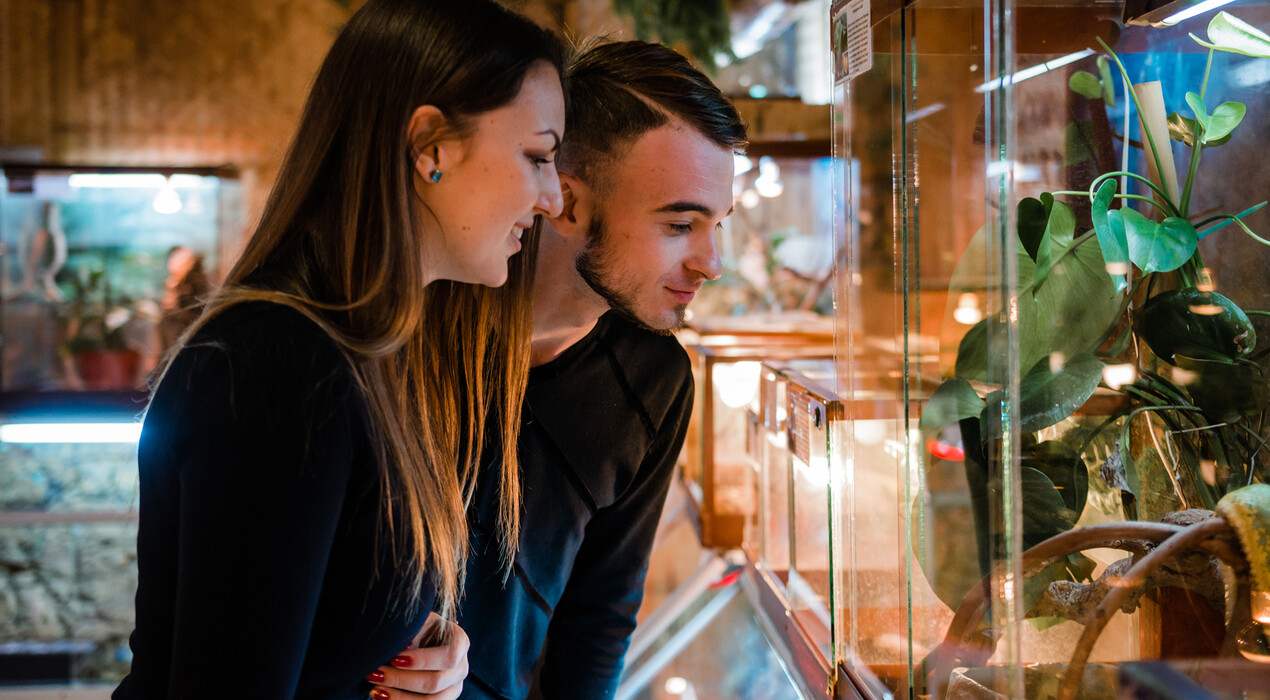 НЕМО - Дельфинарий - Одесса - 7 Фото 7 - НЕМО - Дельфинарий - Одесса