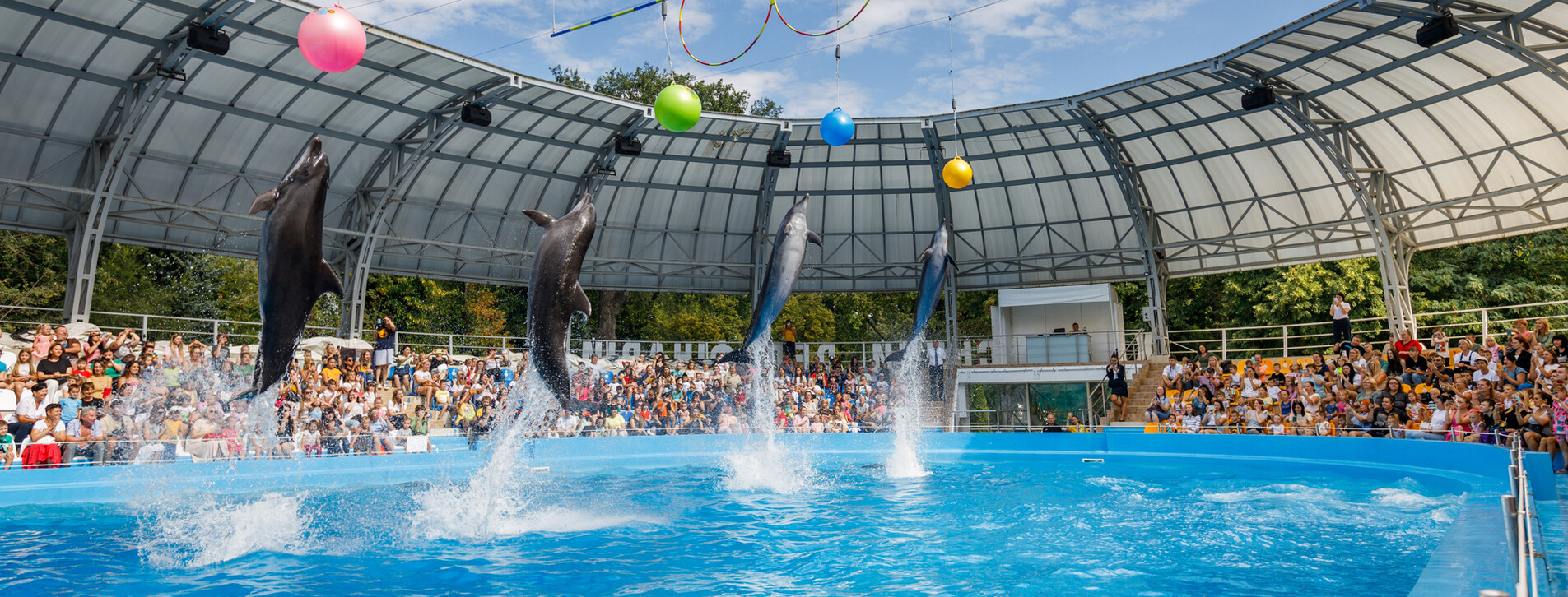 Дельфинарий НЕМО в Харькове - 3 Фото 3 - Дельфинарий НЕМО