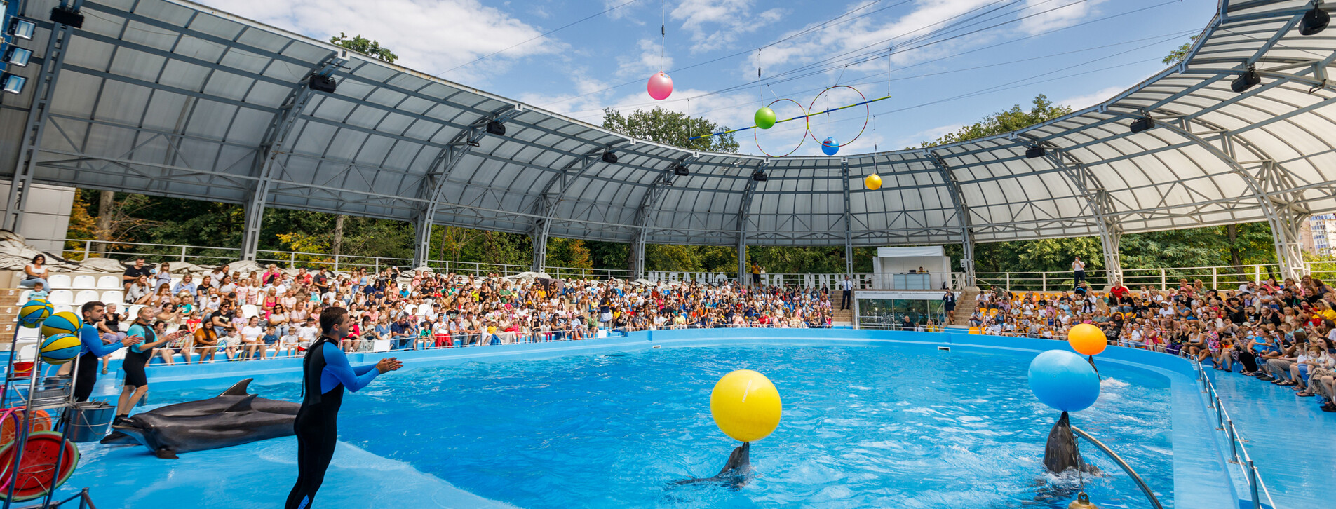 Дельфинарий НЕМО в Харькове - 8 Фото 8 - Дельфинарий НЕМО