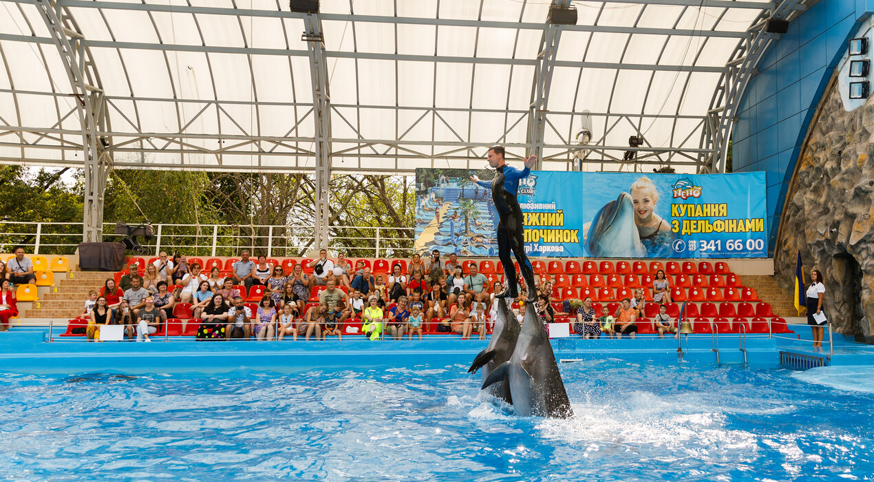 НЕМО - Дельфинарий - Харьков - 4 Фото 4 - НЕМО - Дельфинарий - Харьков