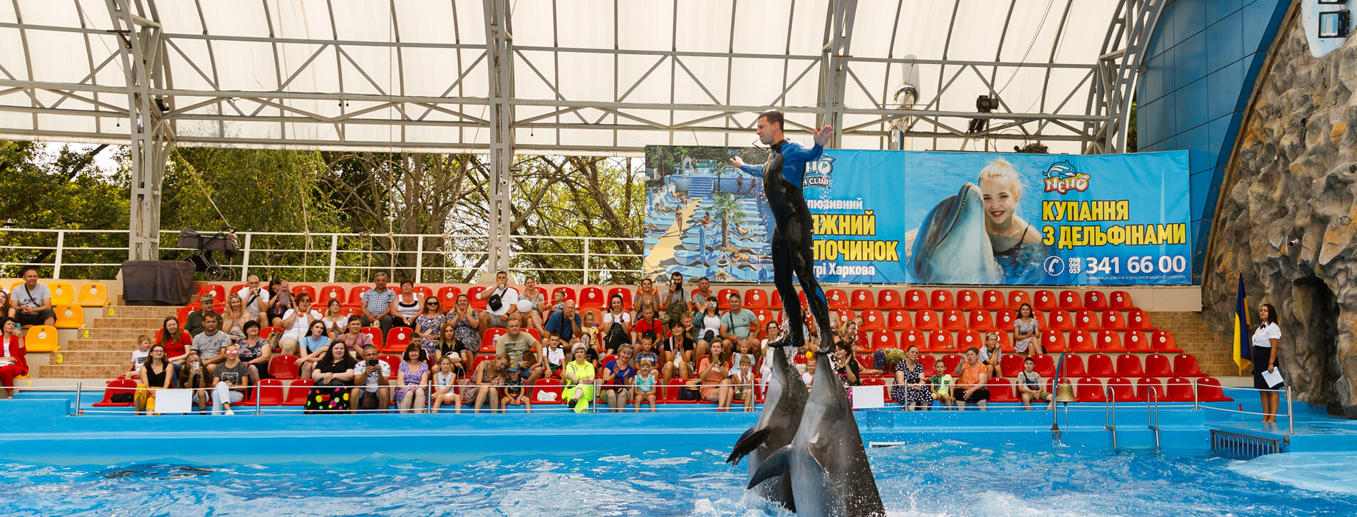 Дельфинарий НЕМО в Харькове - 5 Фото 5 - Дельфинарий НЕМО