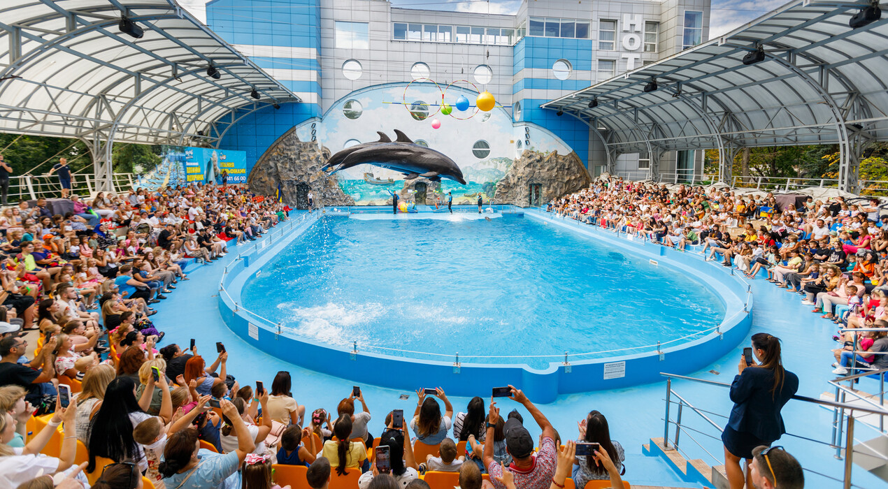 НЕМО - Дельфинарий - Харьков - 3 Фото 3 - НЕМО - Дельфинарий - Харьков