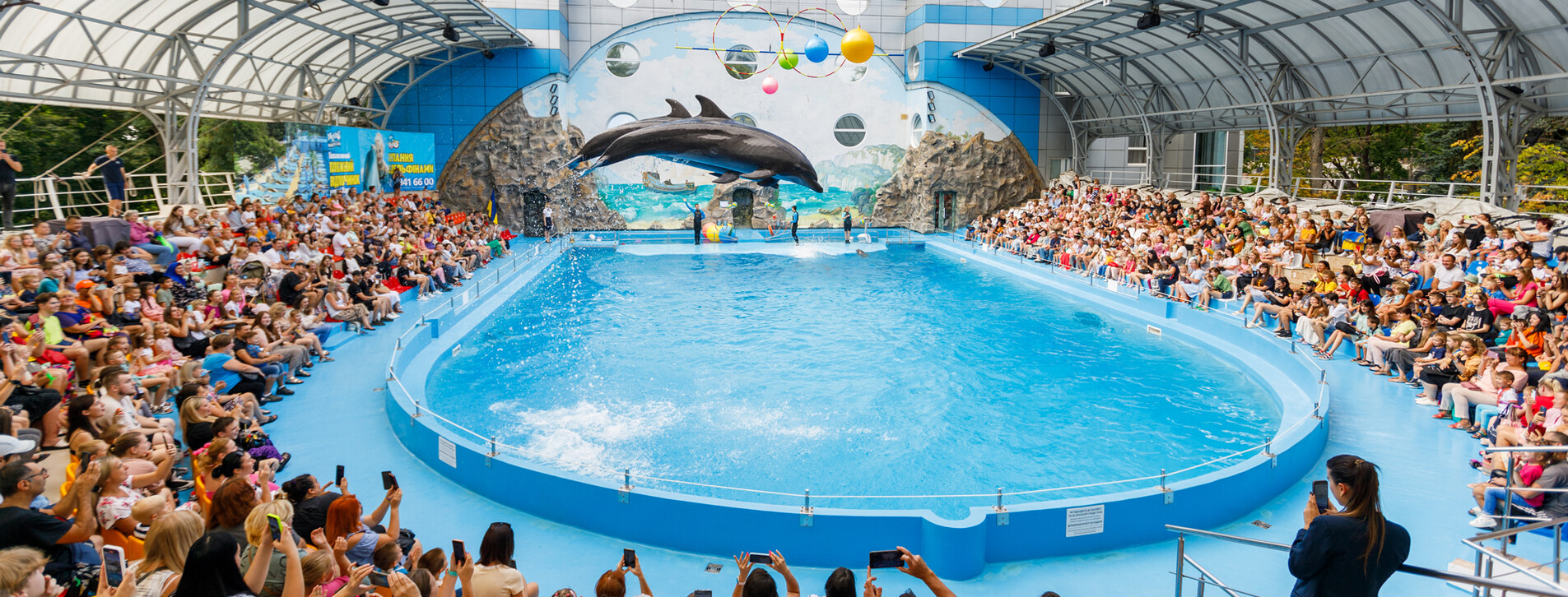 Дельфинарий НЕМО в Харькове - 4 Фото 4 - Дельфинарий НЕМО