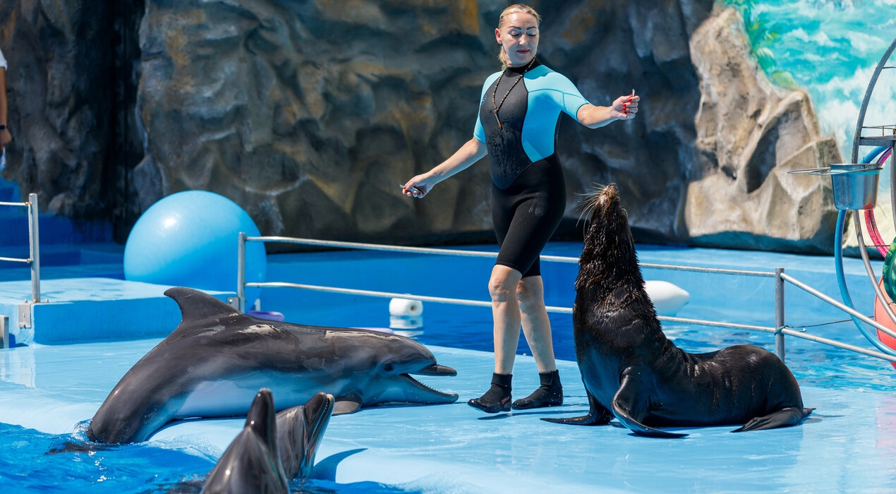 НЕМО - Дельфинарий - Харьков - 8 Фото 8 - НЕМО - Дельфинарий - Харьков