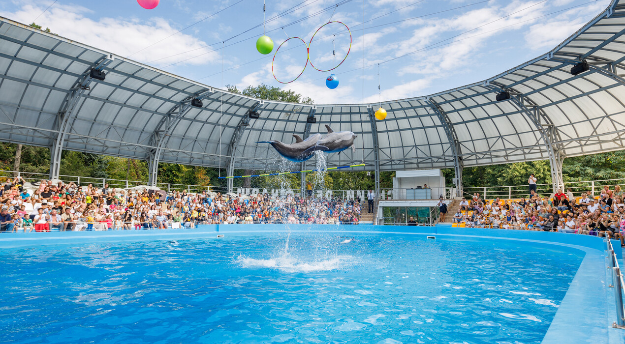 НЕМО - Дельфинарий - Харьков - 2 Фото 2 - НЕМО - Дельфинарий - Харьков