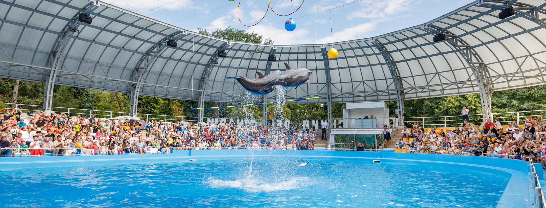 Дельфинарий НЕМО для двоих в Харькове - 3 Фото 3 - Дельфинарий НЕМО для двоих