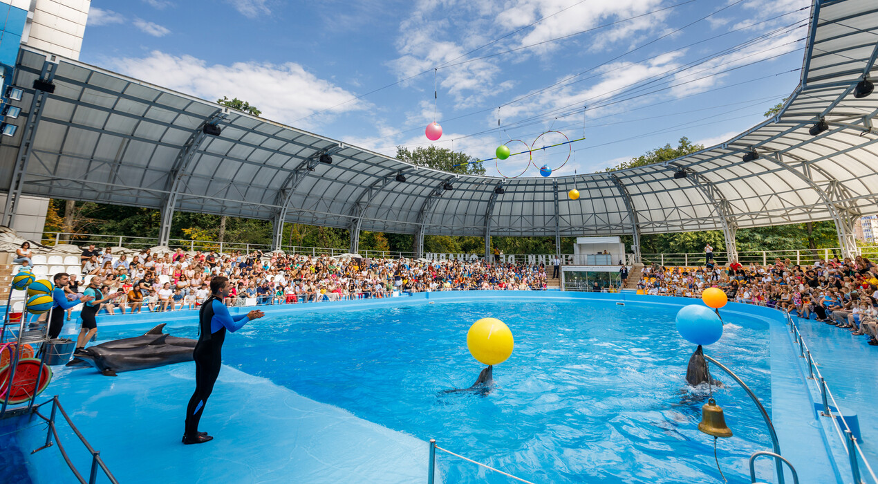 НЕМО - Дельфинарий - Харьков - 5 Фото 5 - НЕМО - Дельфинарий - Харьков