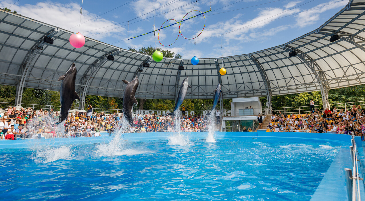 НЕМО - Дельфинарий - Харьков - 7 Фото 7 - НЕМО - Дельфинарий - Харьков