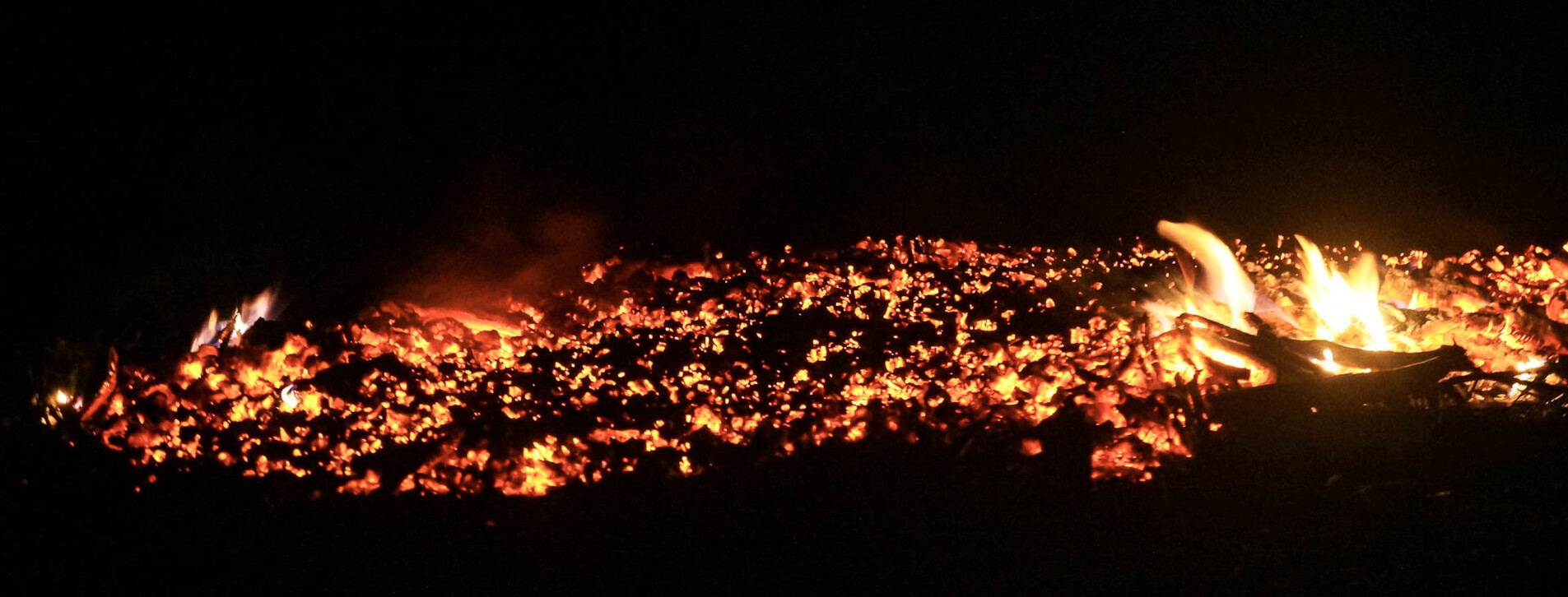 Ходіння вугіллям для двох у Києві - 6 Фото 6 - Ходіння по вугіллю для двох