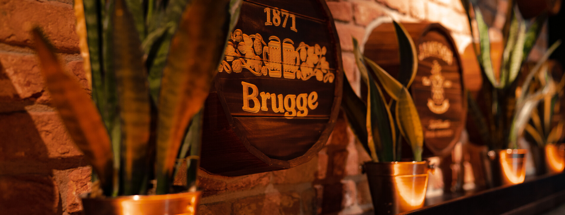 Ужин в Brugge для компании в Киеве - 9 Фото 9 - Ужин в Brugge