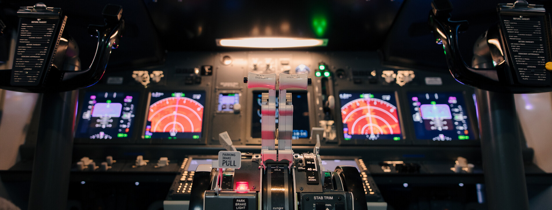 Авіасимулятор Boeing-737 для двох у Києві - 9 Фото 9 - Авіасимулятор Boeing-737 для двох