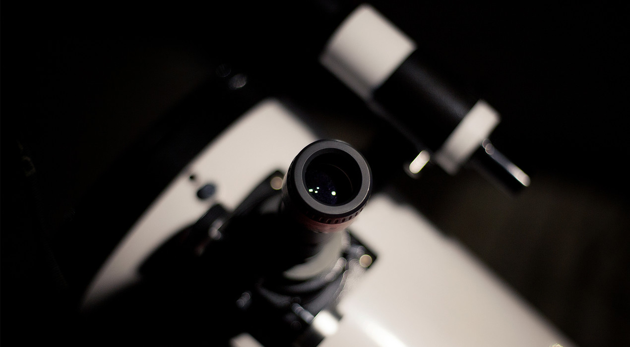 Світ очима мікроскопа - 7 Фото 7 - Світ очима мікроскопа