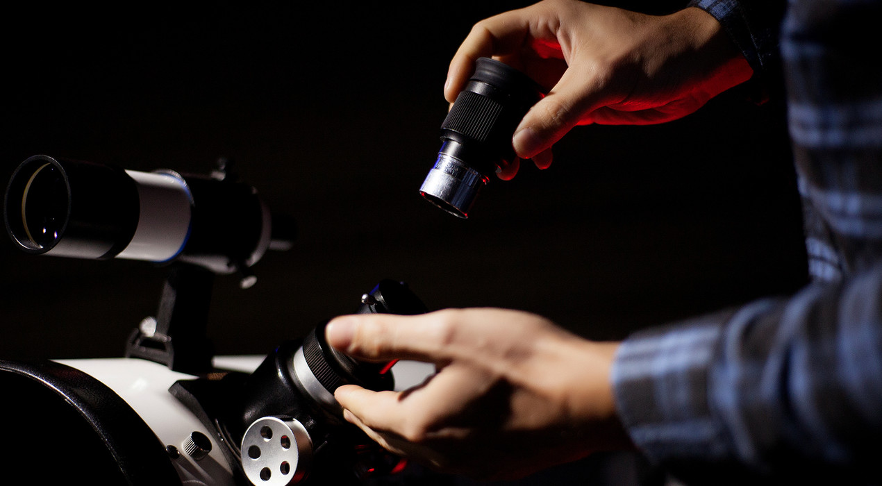 Світ очима мікроскопа - 4 Фото 4 - Світ очима мікроскопа