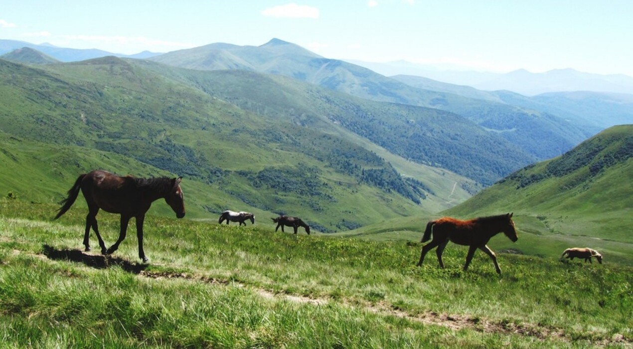 Кулуар - Клуб туристов - 7 Фото 7 - Кулуар - Клуб туристов