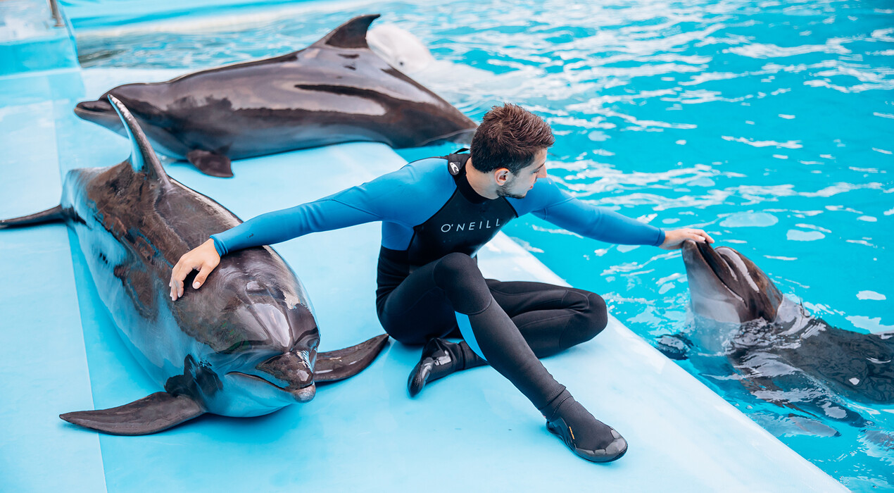 НЕМО - Дельфинарий - Харьков - 3 Фото 3 - НЕМО - Дельфинарий - Харьков