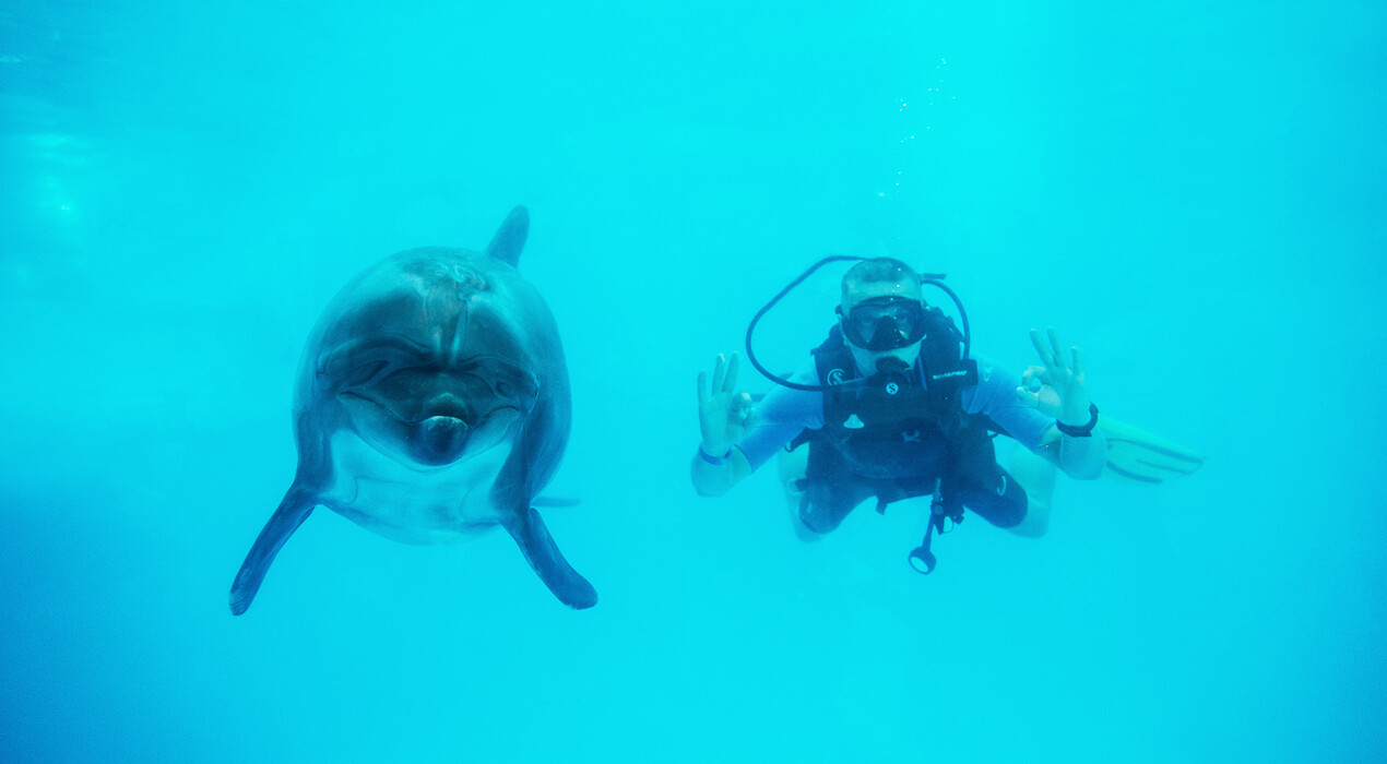 НЕМО - Дельфинарий - Харьков - 1 Фото 1 - НЕМО - Дельфинарий - Харьков