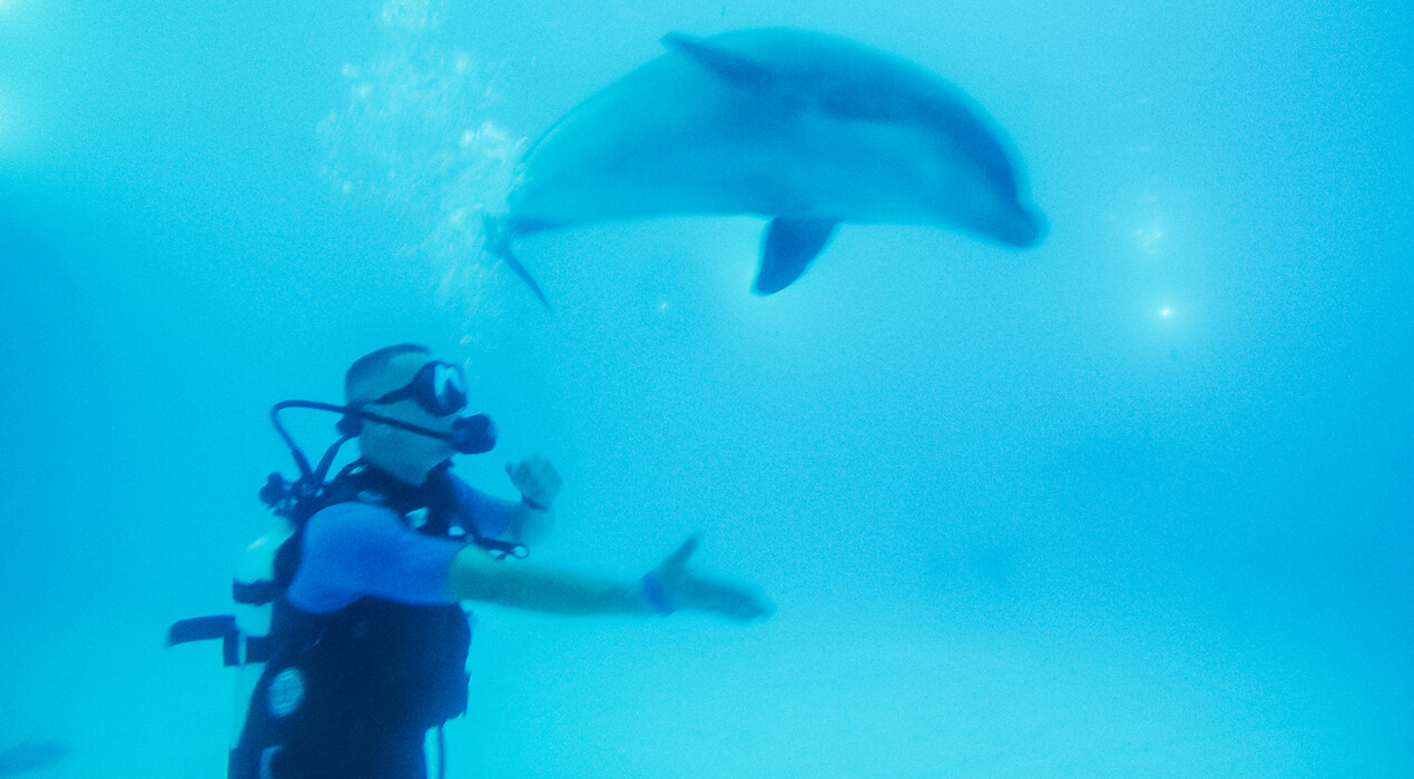НЕМО - Дельфинарий - Харьков - 10 Фото 10 - НЕМО - Дельфинарий - Харьков