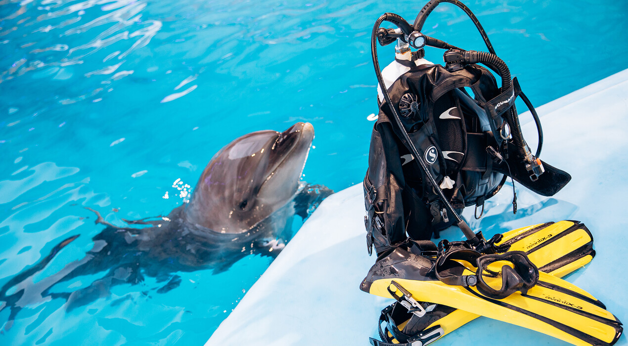 НЕМО - Дельфинарий - Харьков - 4 Фото 4 - НЕМО - Дельфинарий - Харьков