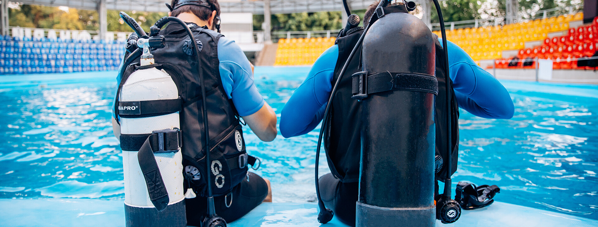 Дайвинг с дельфинами в Харькове - 7 Фото 7 - Дайвинг с дельфинами