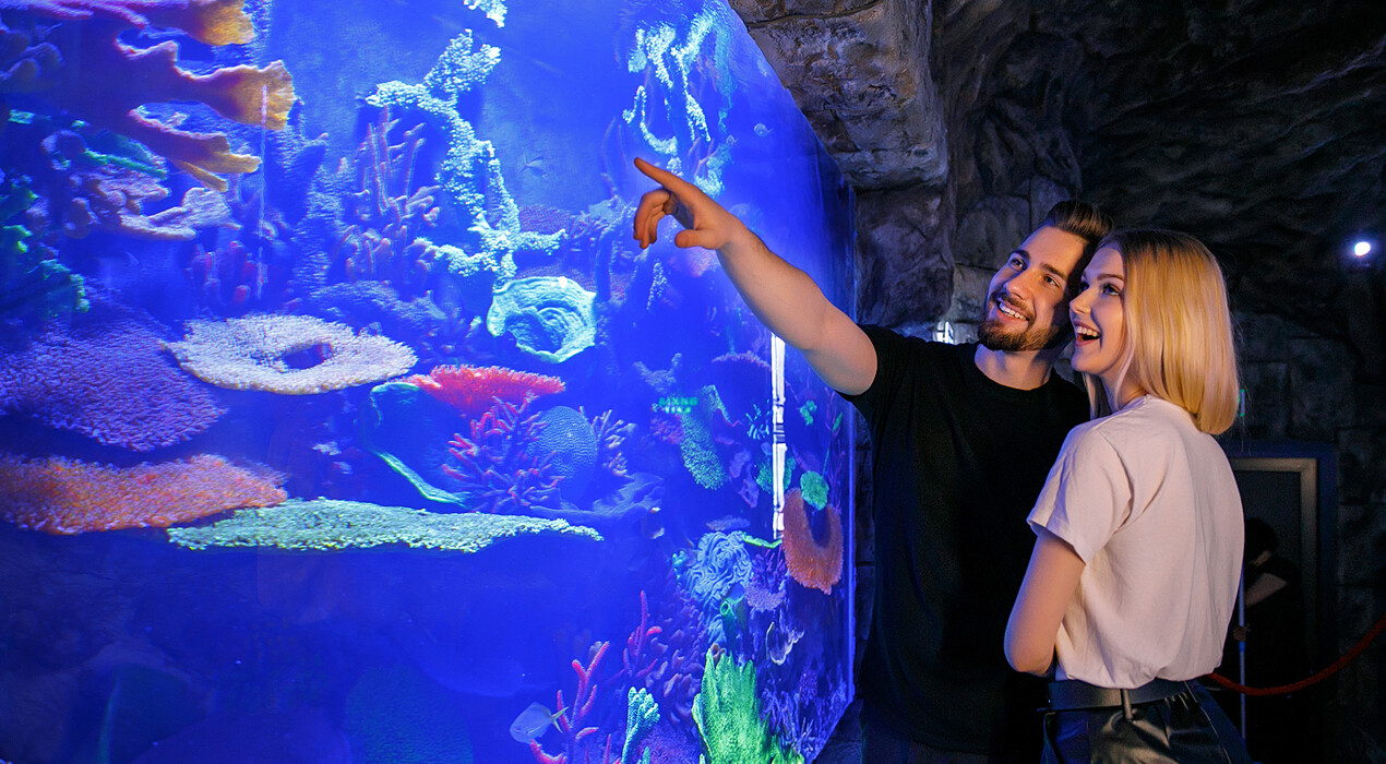 Oceanarium Lviv - 3 Фото 3 - Oceanarium Lviv