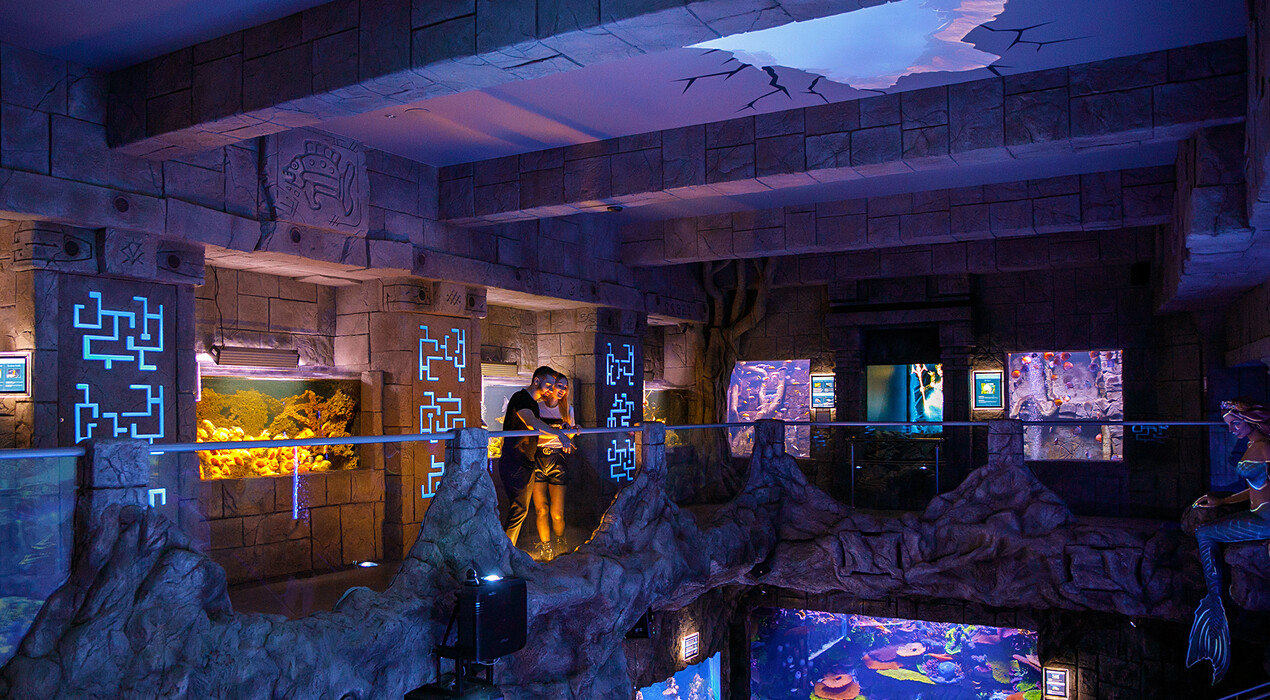 Oceanarium Lviv - 10 Фото 10 - Oceanarium Lviv