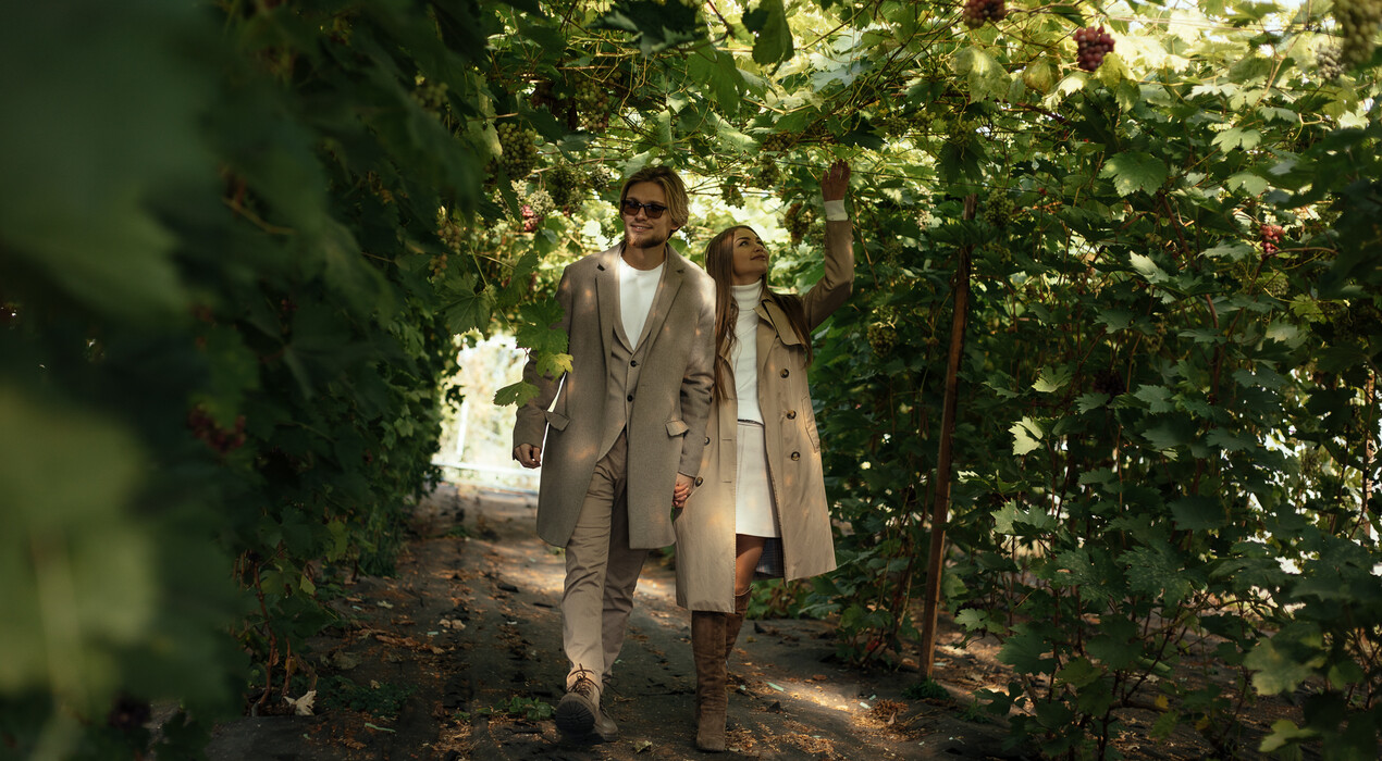 The Village Wine - Винодельня - 4 Фото 4 - The Village Wine - Винодельня