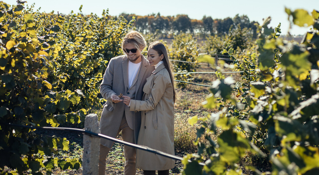 The Village Wine - Винодельня - 2 Фото 2 - The Village Wine - Винодельня