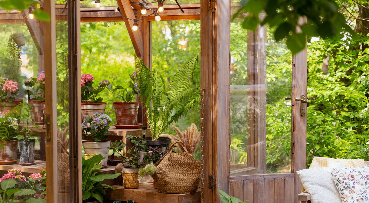 Frontpage - Фотостудия - 8 Фото 8 - Frontpage - Фотостудия