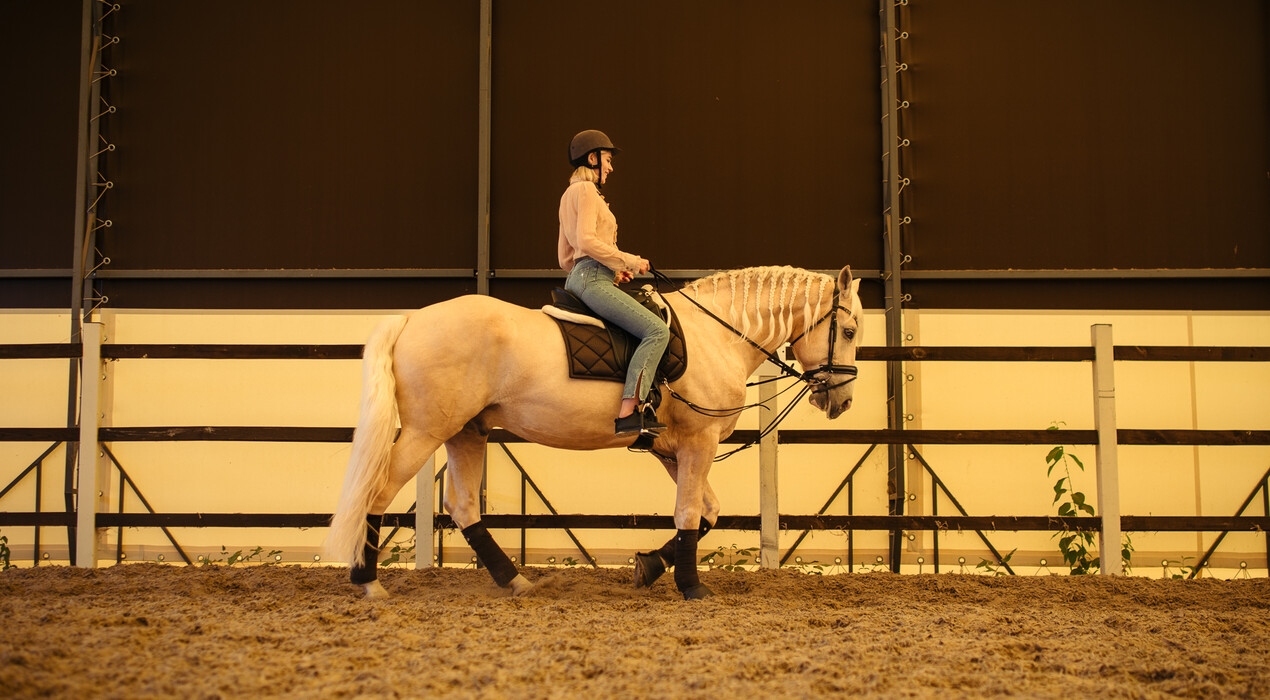 Pony club - Конный клуб - 4 Фото 4 - Pony club - Конный клуб