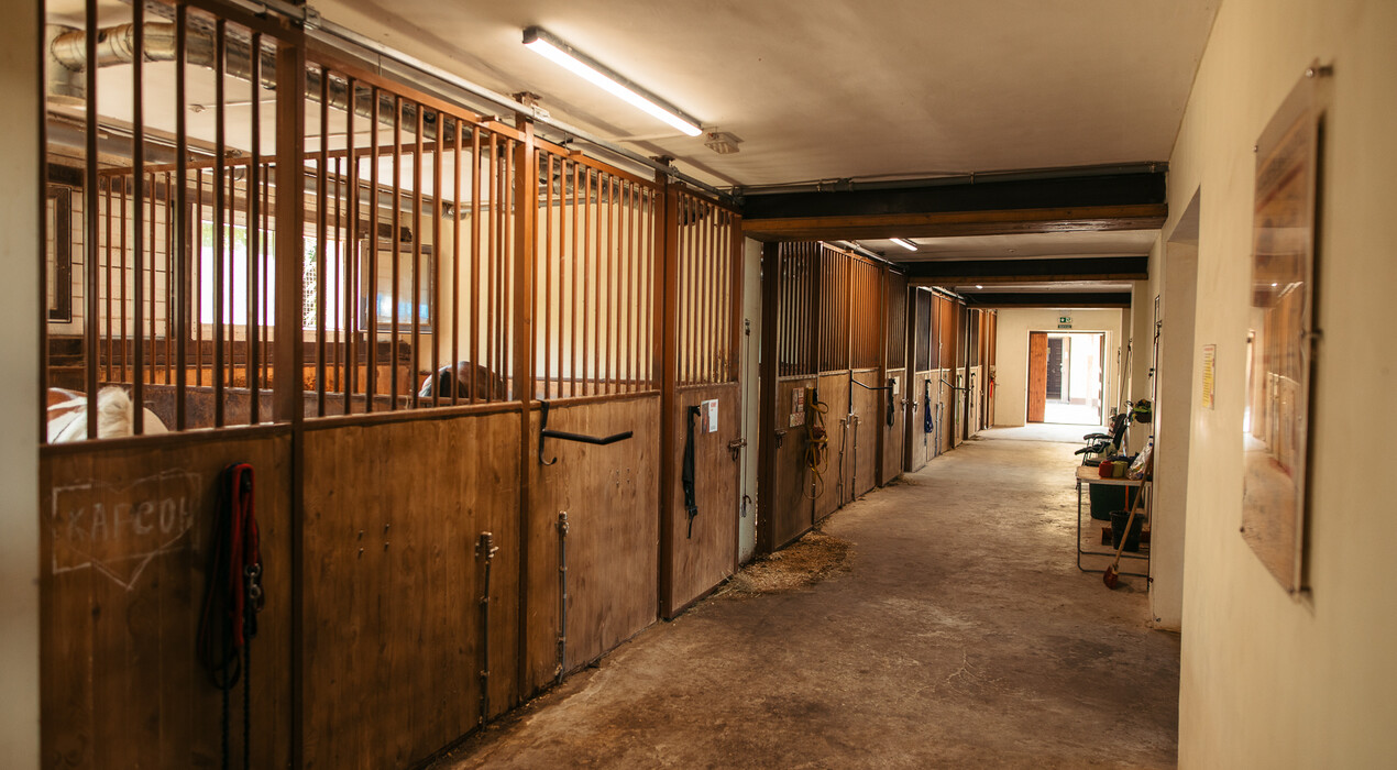 Pony club - Конный клуб - 9 Фото 9 - Pony club - Конный клуб