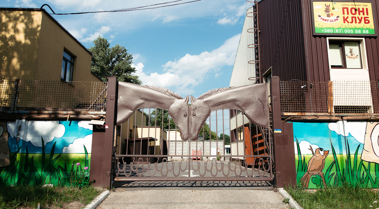 Pony club - Конный клуб - 10 Фото 10 - Pony club - Конный клуб