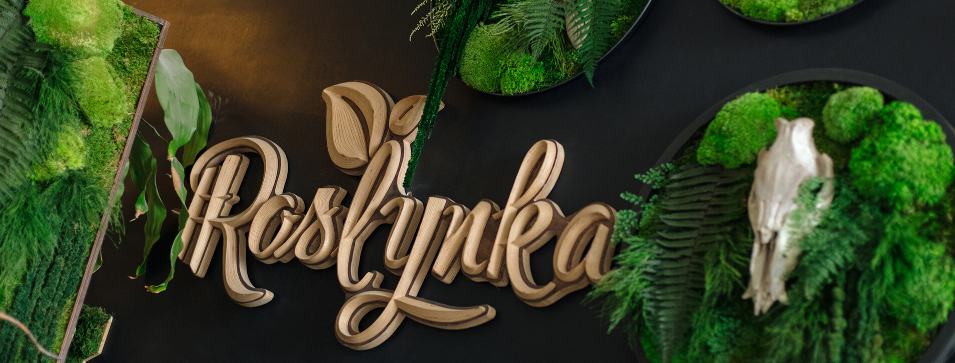 Картина зі стабілізованими рослинами в Києві - 11 Фото 11 - Картина зі стабілізованими рослинами