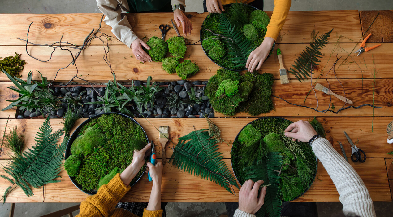 Roslynka - Студія флористики - 1 Фото 1 - Roslynka - Студія флористики