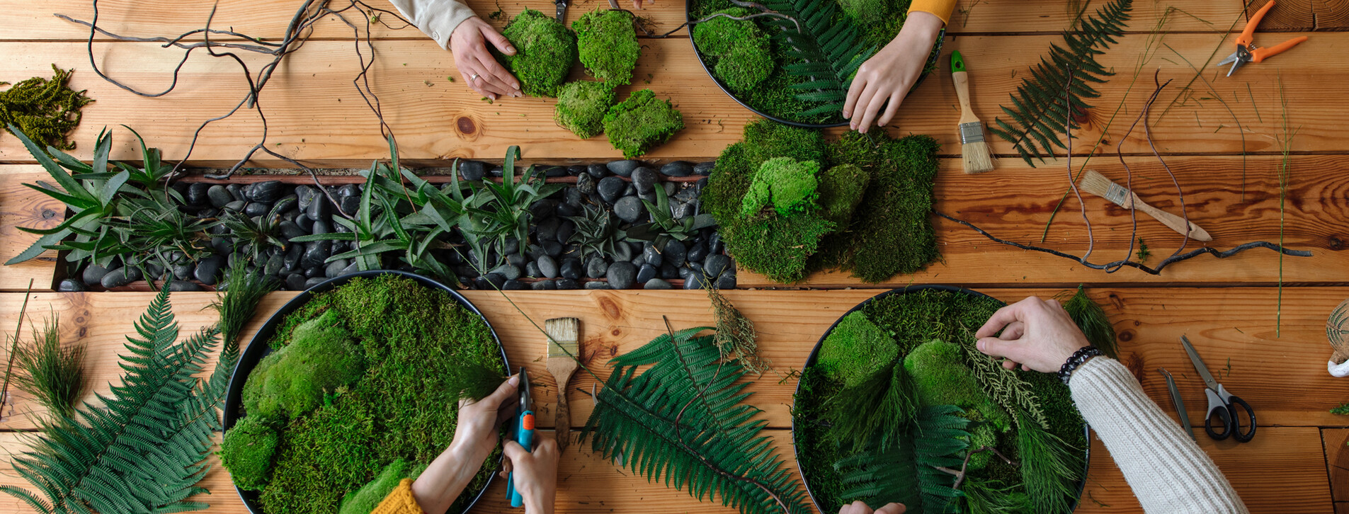 Картина зі стабілізованими рослинами в Києві - 2 Фото 2 - Картина зі стабілізованими рослинами