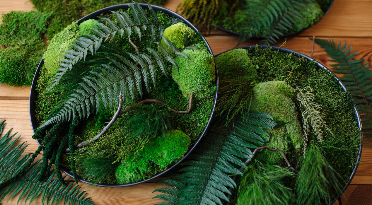 Roslynka - Студія флористики - 2 Фото 2 - Roslynka - Студія флористики