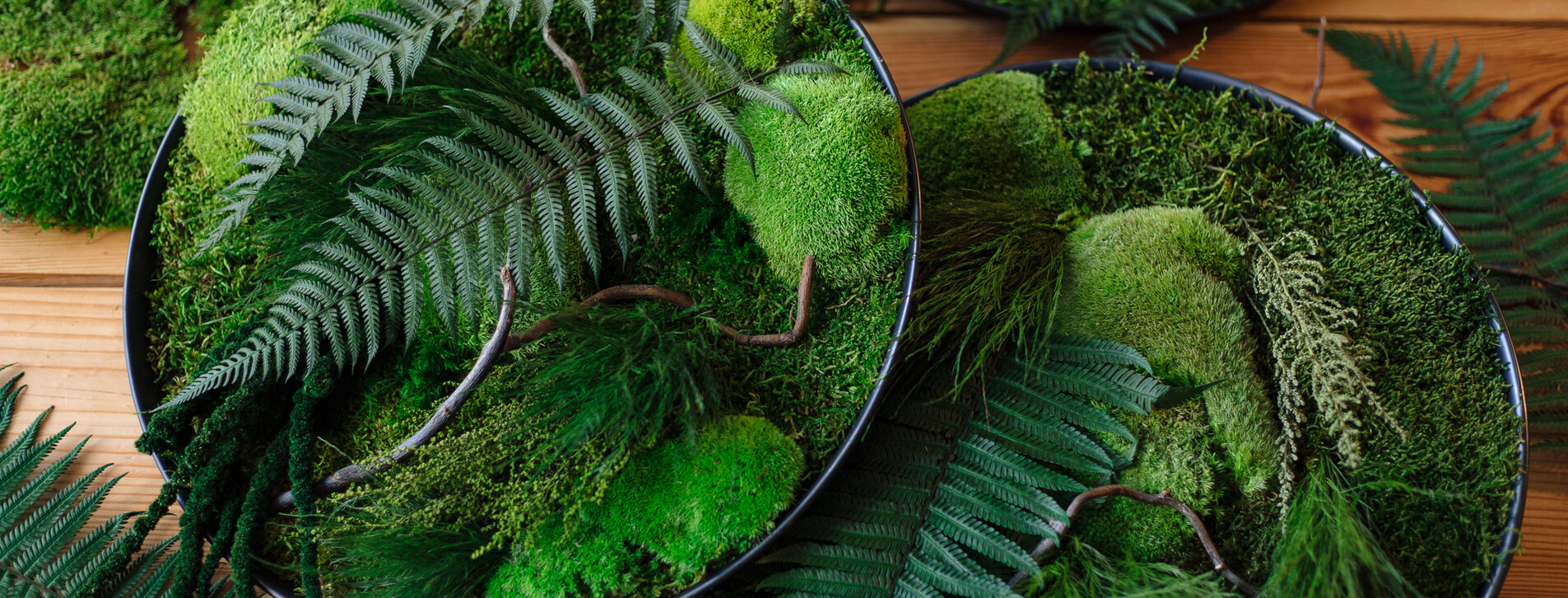 Картина зі стабілізованими рослинами в Києві - 3 Фото 3 - Картина зі стабілізованими рослинами