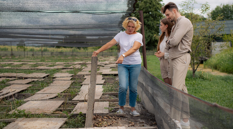 Дегустация «Прованс» в Шато де Талю и «Старый парк» в Кабардинке