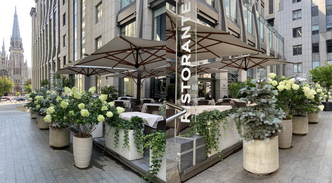 Dolceteka by Bassano - Кондитерская - 9 Фото 9 - Dolceteka by Bassano - Кондитерская