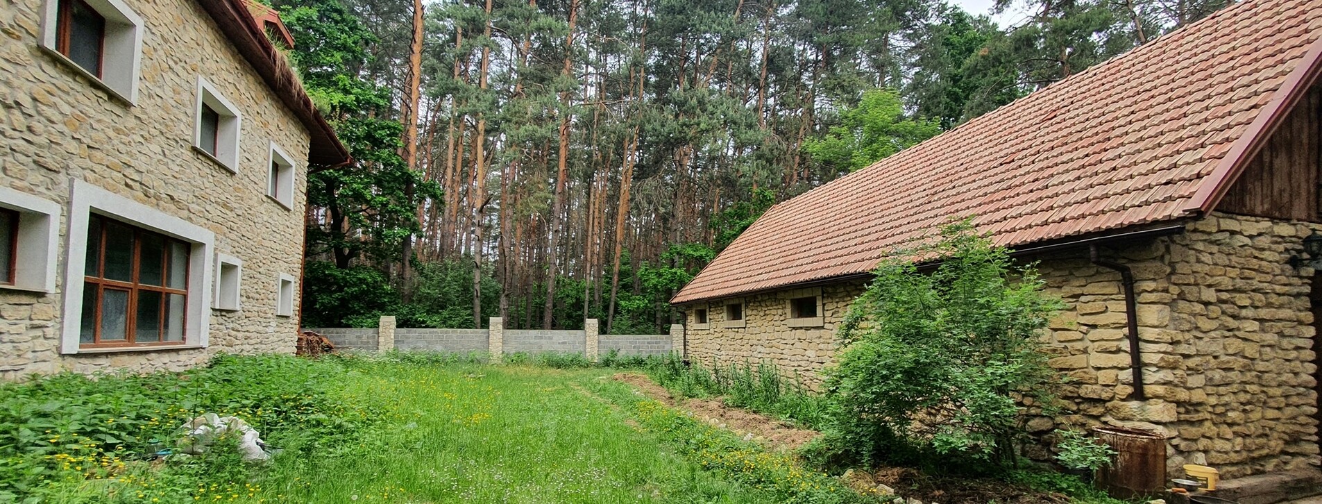 Прогулка на лошадях для двоих во Львове - 15 Фото 15 - Прогулка на лошадях для двоих