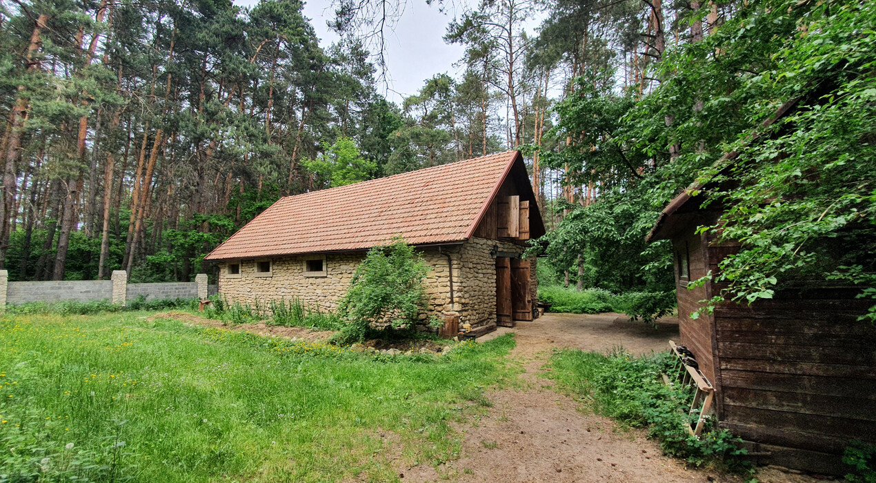 Кентавр - Конный клуб - Львов - 4 Фото 4 - Кентавр - Конный клуб - Львов