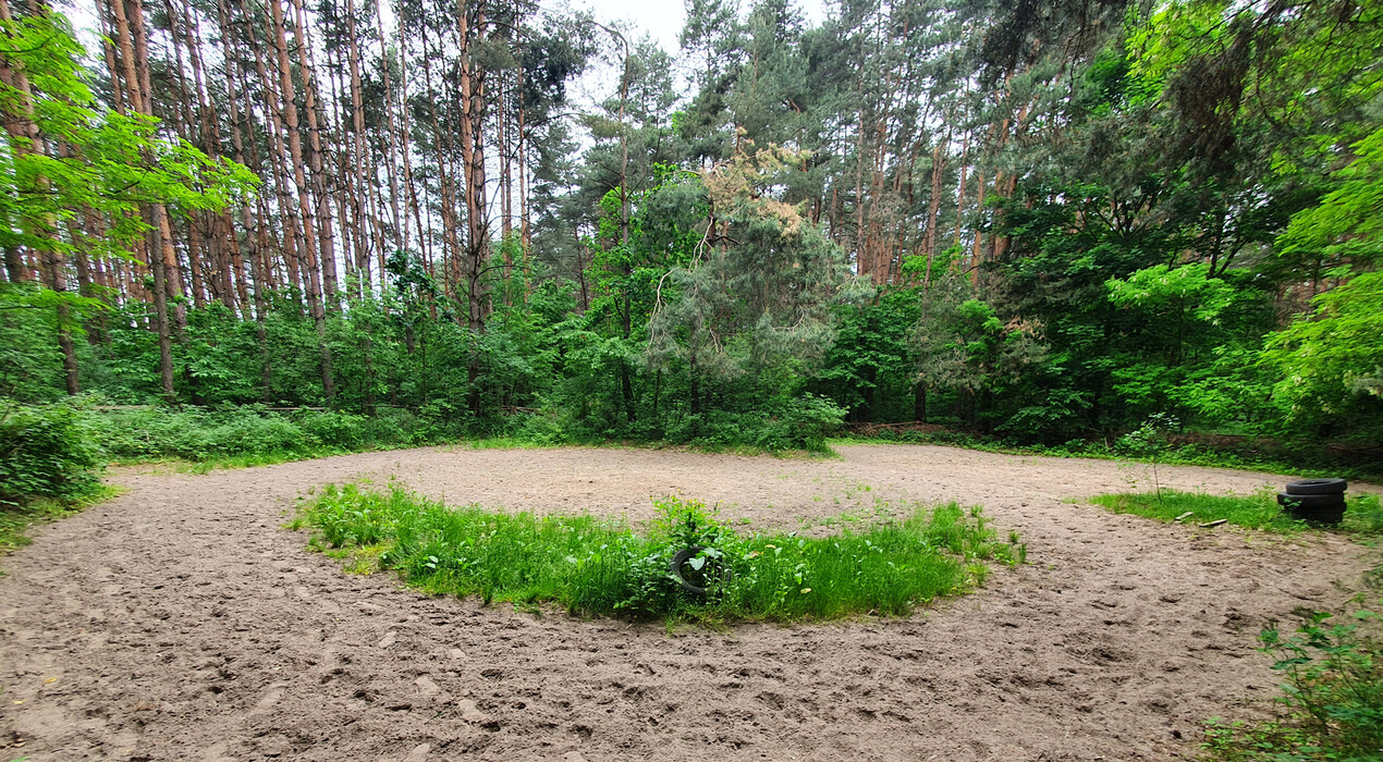 Кентавр - Конный клуб - Львов - 2 Фото 2 - Кентавр - Конный клуб - Львов