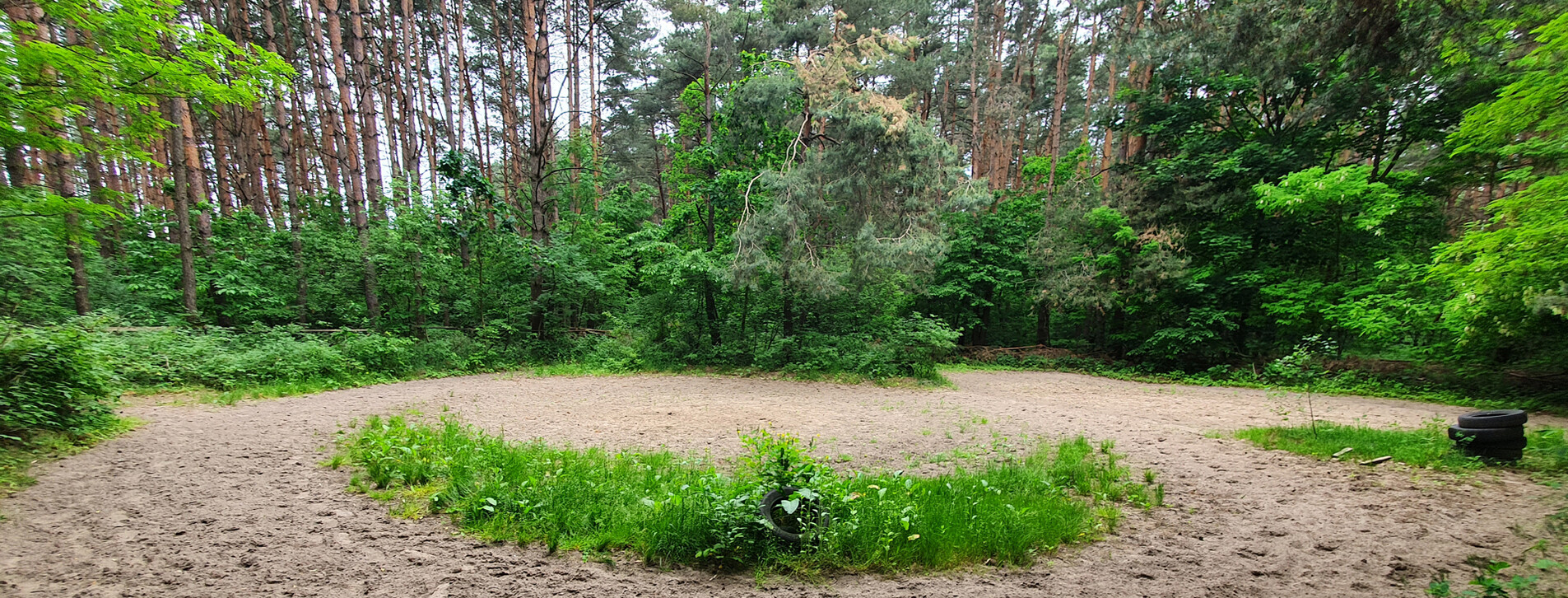 Курс верховой езды во Львове - 13 Фото 13 - Курс верховой езды