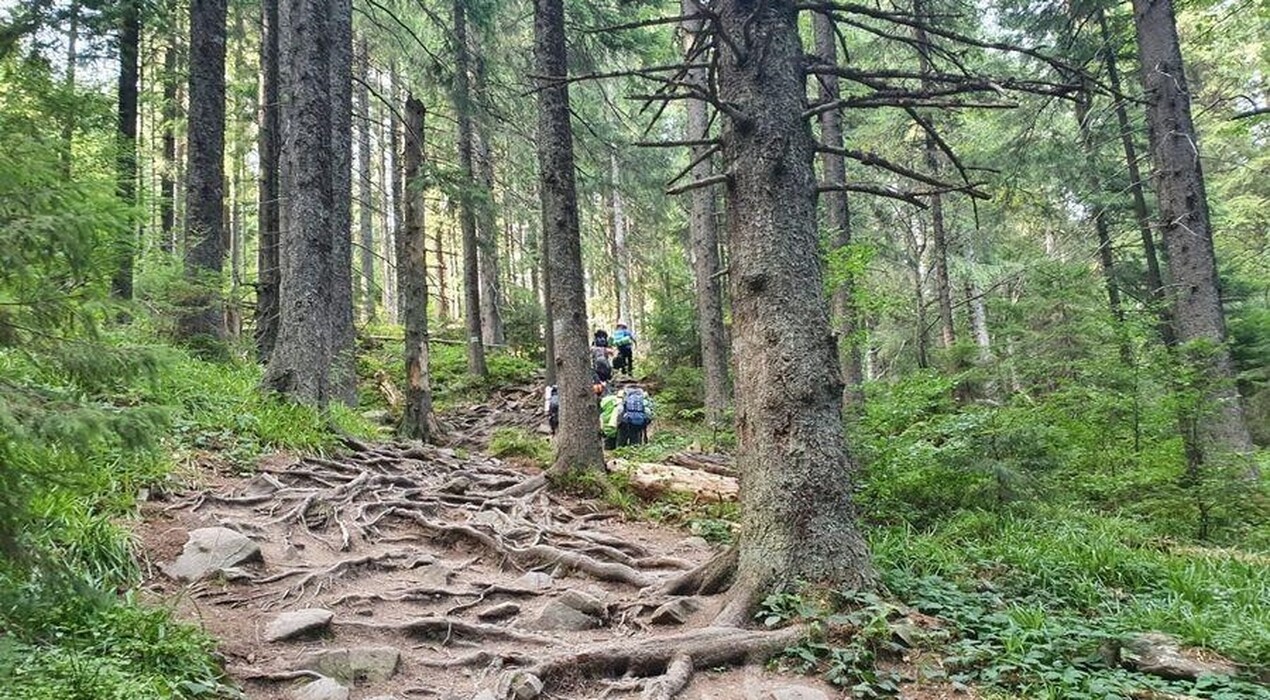 Кулуар - Клуб туристов - 5 Фото 5 - Кулуар - Клуб туристов