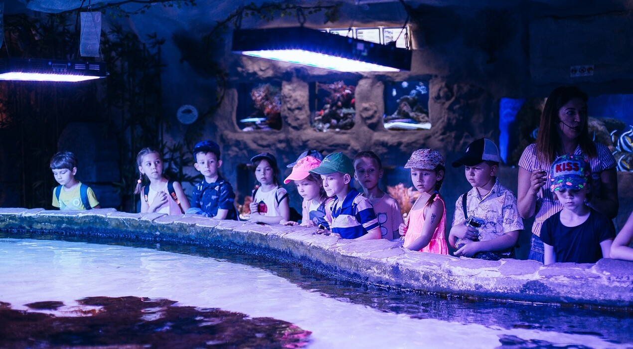 Морська казка - Океанаріум - 7 Фото 7 - Морська казка - Океанаріум