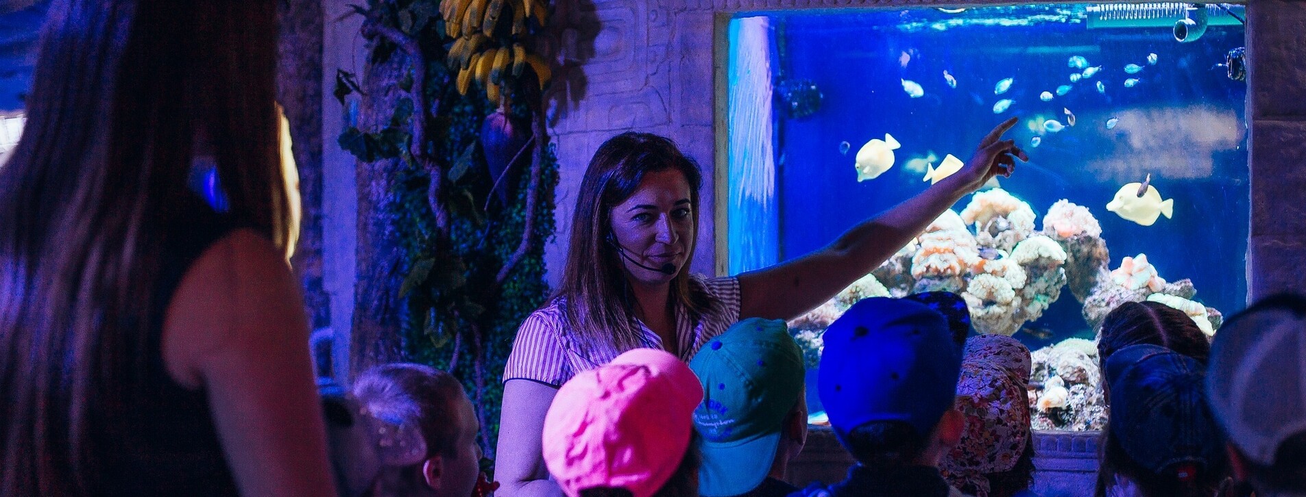 Океанариум для двоих в Киеве - 10 Фото 10 - Океанариум для двоих