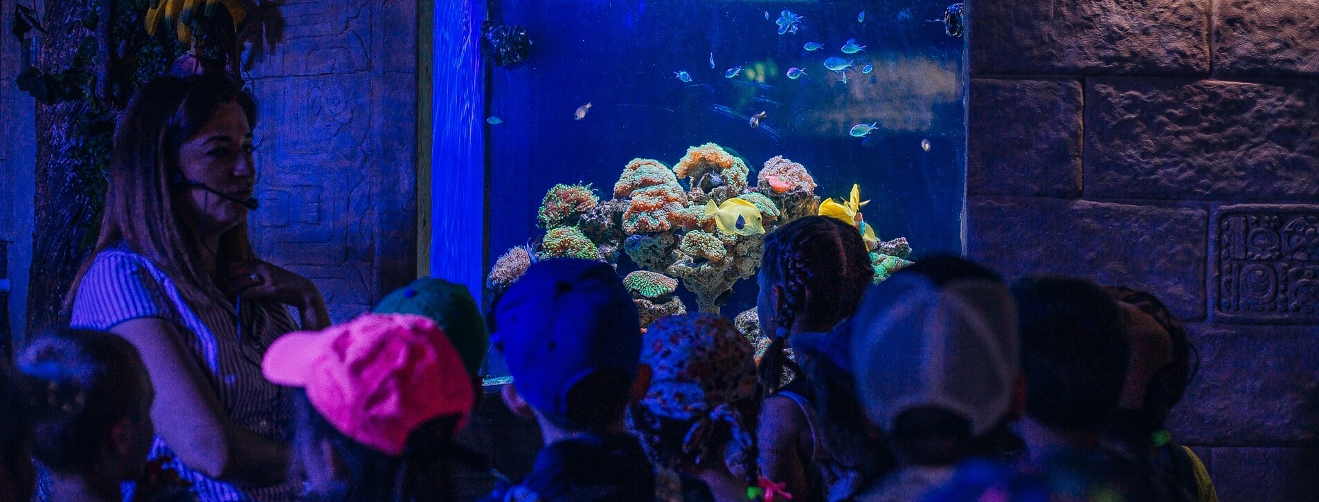 Океанариум для двоих в Киеве - 11 Фото 11 - Океанариум для двоих