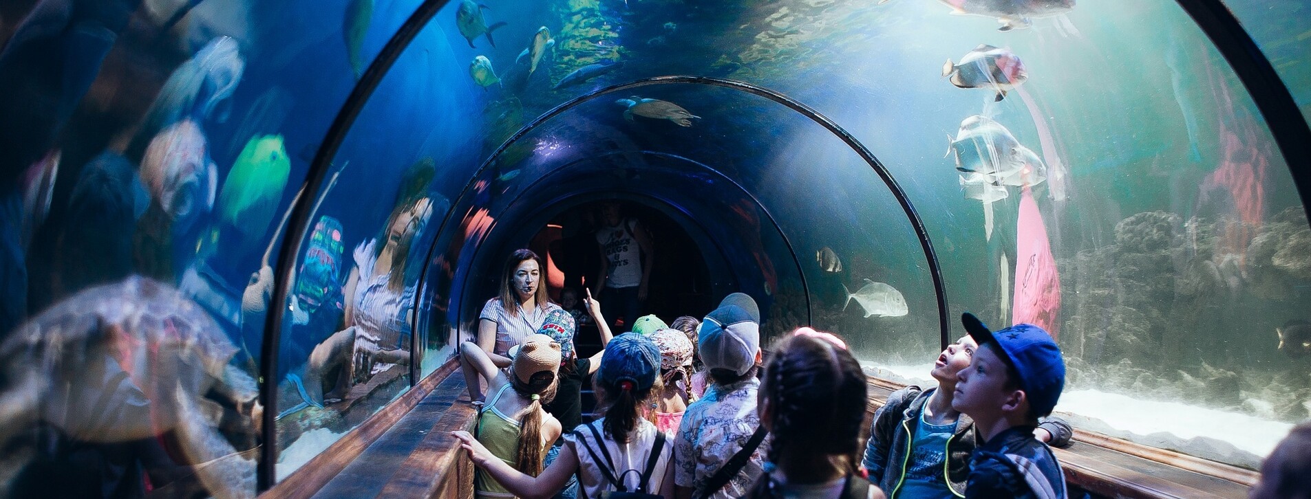 Океанариум для двоих в Киеве - 6 Фото 6 - Океанариум для двоих