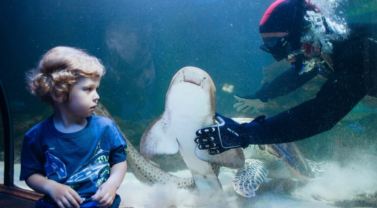 Морська казка - Океанаріум - 4 Фото 4 - Морська казка - Океанаріум